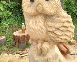 まえださんの投稿